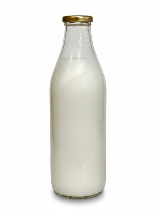 Handwash Fruity Organic